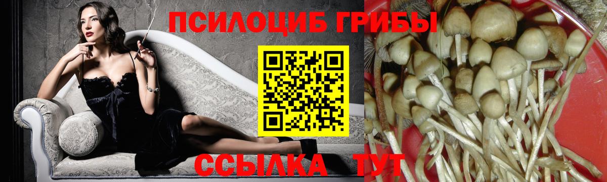 Псилоцибиновые грибы MAGIC MUSHROOMS  Вход с VPN  Нефтекумск  Галлюциногенные грибы ЛСД 